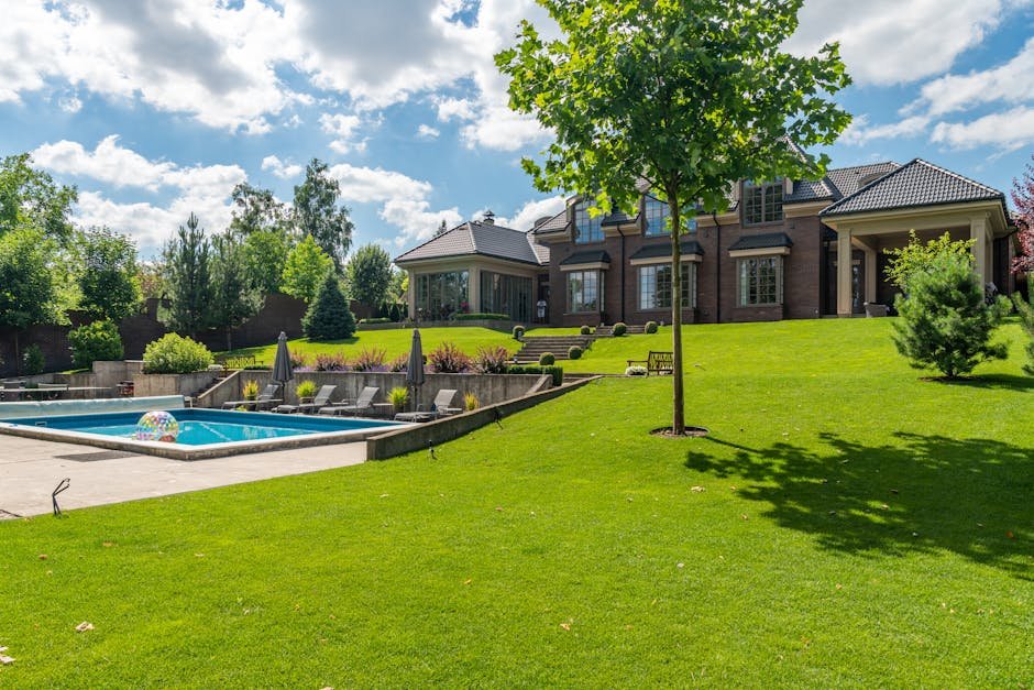 pexels-photo-8143675-8143675 Spacious elegant mansion with a pristine pool, lush garden, and clear blue sky.