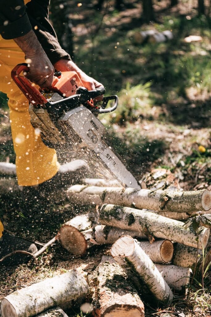 pexels-photo-4205989-4205989 A person using a chainsaw to cut logs in a forest, demonstrating traditional lumberjack work.