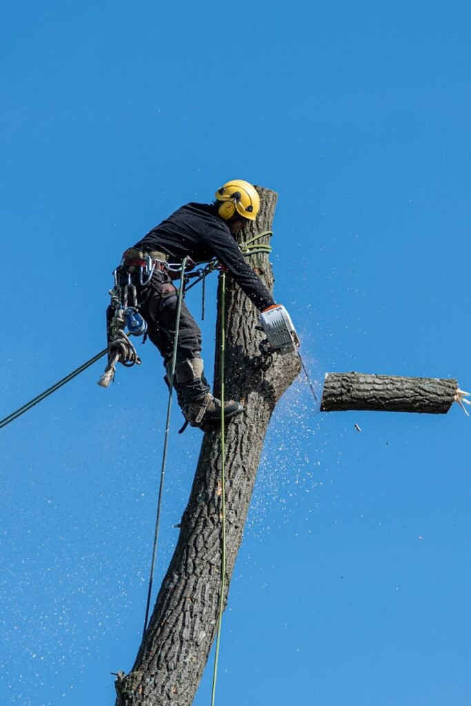 pexels-photo-6218318-6218318 A skilled arborist wearing safety gear cuts a tree with a chainsaw against a clear blue sky.